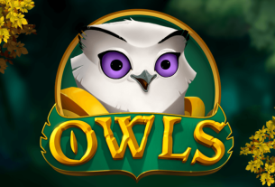 Slot Owls